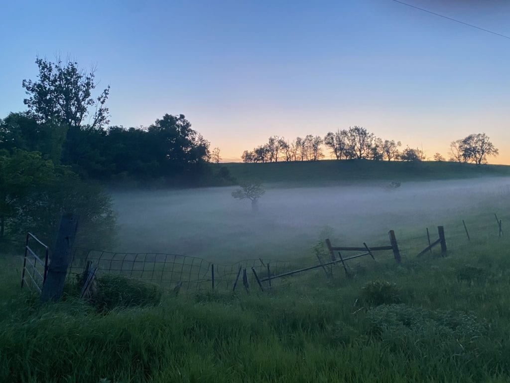 Dear Jesus, be my Good Shepherd, now and always ...