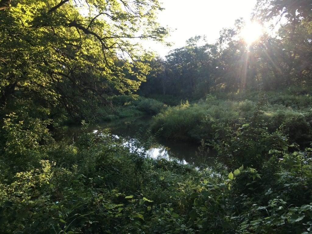 So thankful for the Good Shepherd