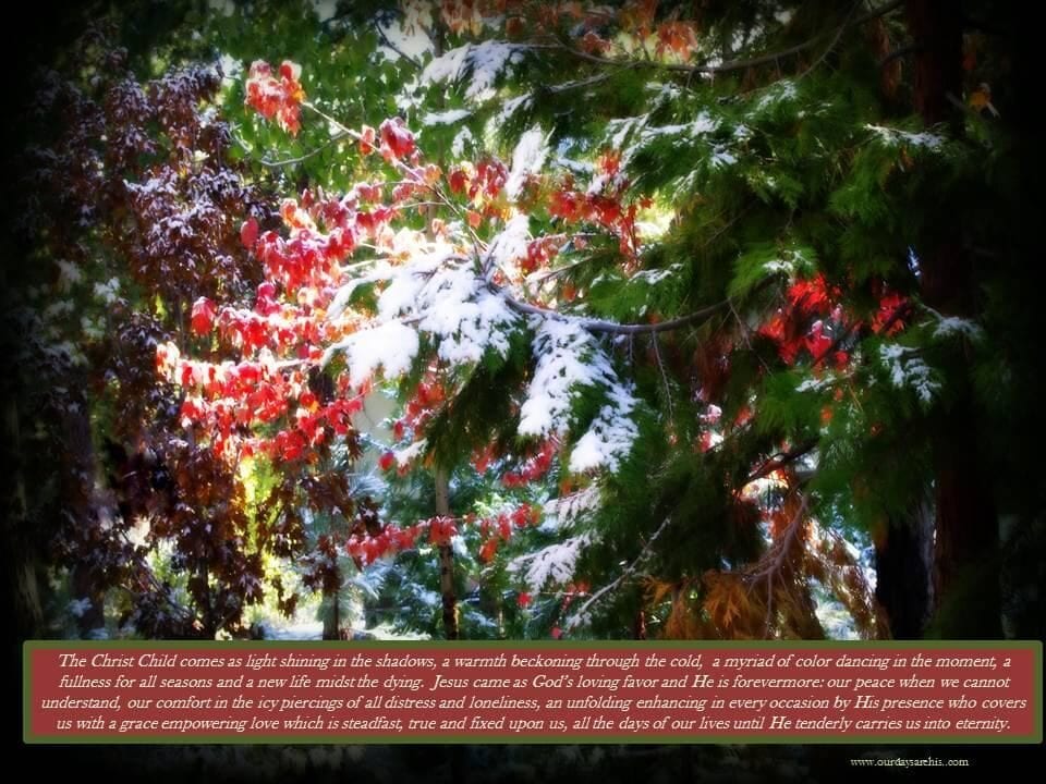 The Favor of God is Life