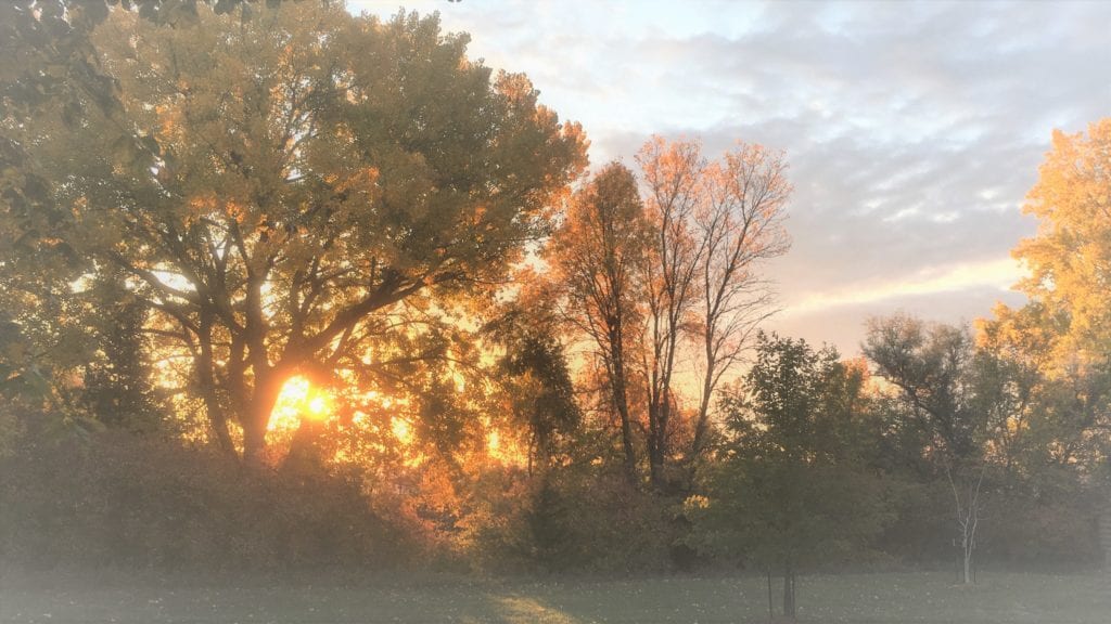 The Indescribable Gift of Creation and The Incomprehensible Creator God