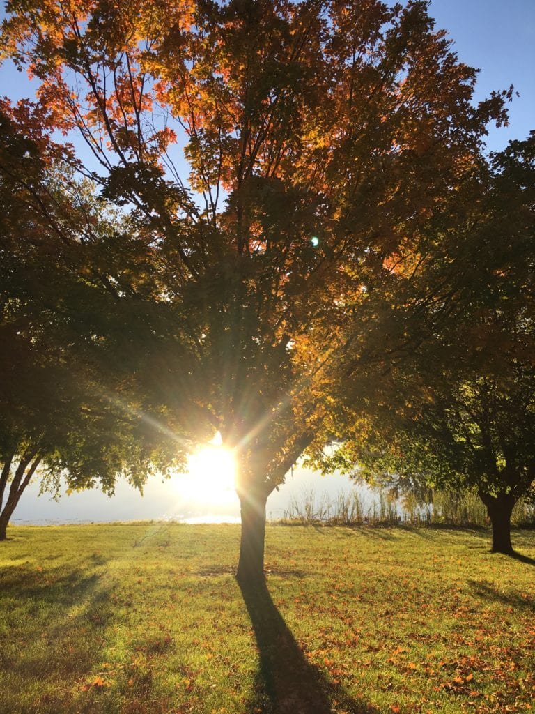 As the Color Fades Away