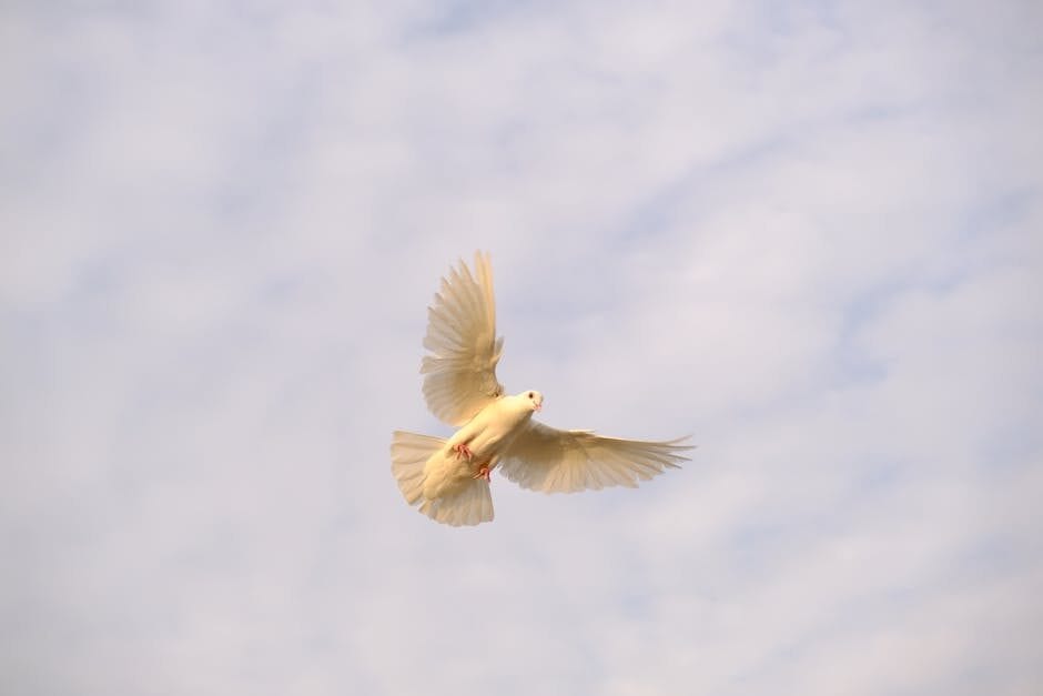 Desiring the Spirit of God