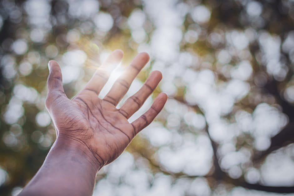 The Compassion of Jesus