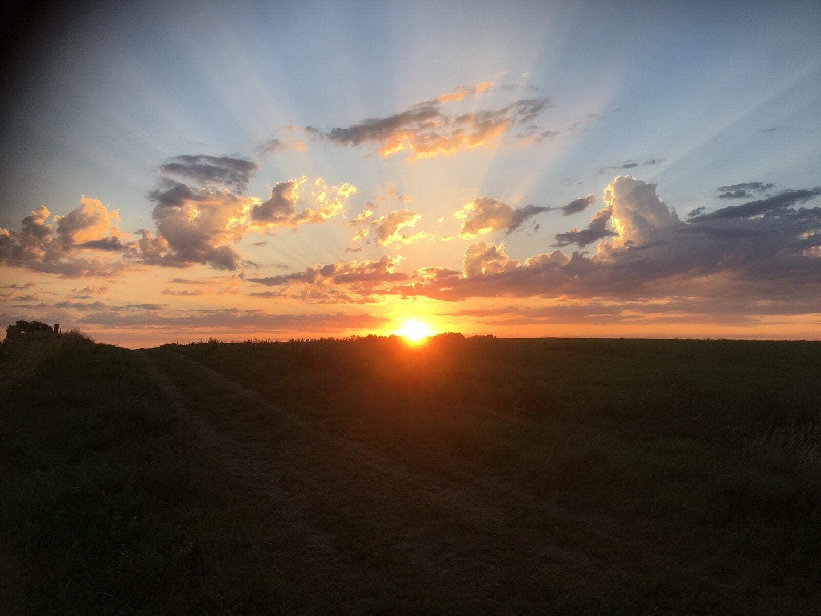 All will worship …